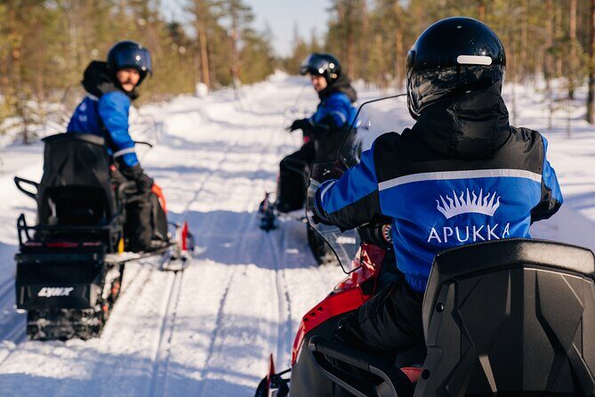 Family Snowmobiling in Rovaniemi, Apukka Resort - Who Is This Tour Best For?