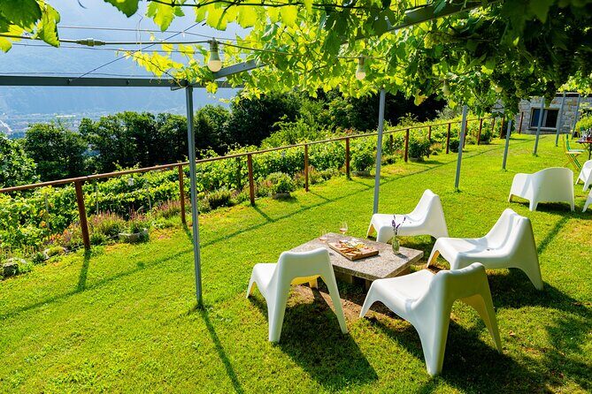 Family tasting - A little tasting - The Authentic Charm and Value