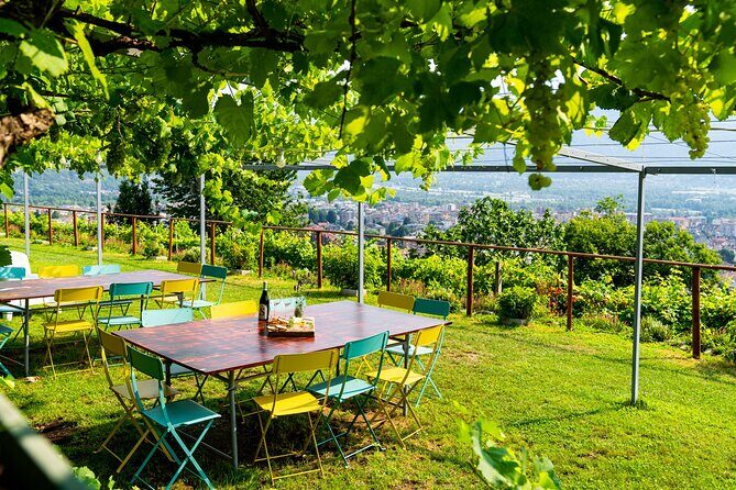 Family tasting - A little tasting - Who This Tour Is Perfect For