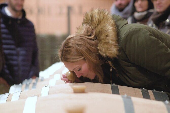 Family winery visit with food - A Comprehensive Look at the Winery Experience