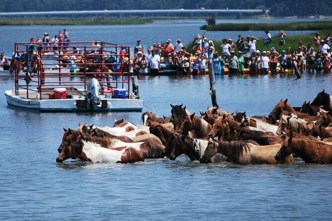 Famous Chincoteague Island Pony Swim Boat and Jet Ski Rentals - Key Points