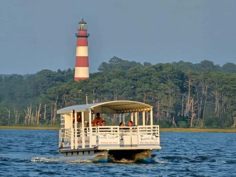Famous Chincoteague Pony Cruise with Expert Narration - The Experience: What to Expect