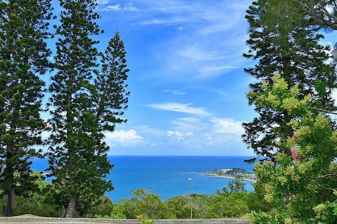 FAMOUS Local Green Train Noumea (01h30) - The Sum Up: Who Will Love This Tour?