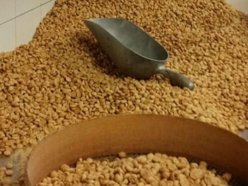 Famous Patisserie Visit and Tasting near Turin - A Deep Dive Into the Experience