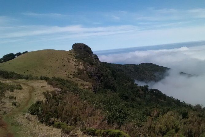 Fanal -Enchanted Forest - Guides and Personal Touches