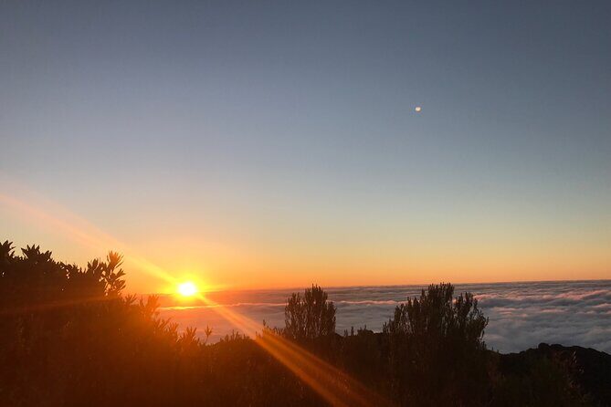 Fanal Forest Private Sunset Hike - Why This Tour Is Worth Considering