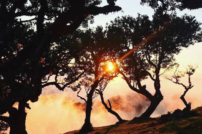 Fanal Forest Private Sunset Hike - Final Thoughts: Is it Worth It?