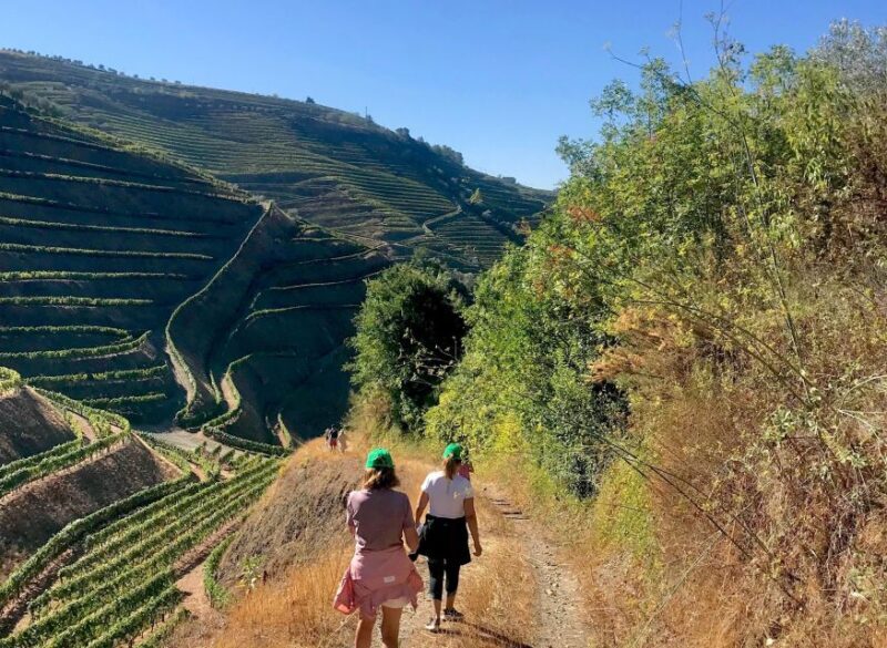 Fancy Douro from Porto - private walk + lunch + wines - Key Points