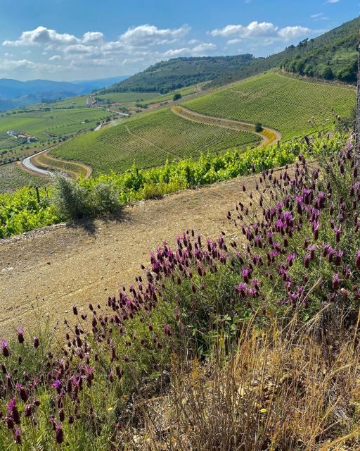 Fancy Douro from Porto - private walk + lunch + wines - Pricing and Value