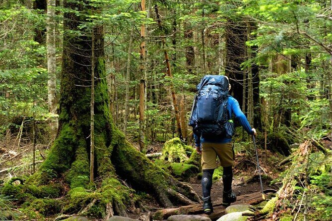Fansipan Trek One Day Tour  Roof of Indochina - The Experience in Detail