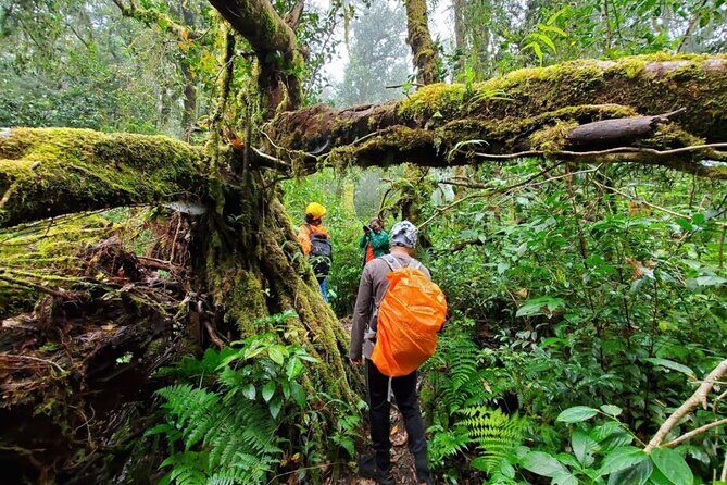 Fansipan Trek One Day Tour  Roof of Indochina - What’s Included and What’s Not