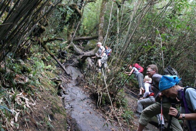 Fansipan Trek One Day Tour  Roof of Indochina - FAQs
