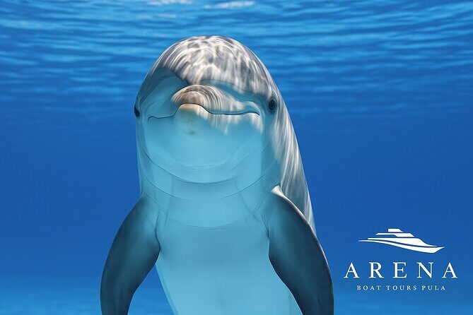 Fantastic DOLPHIN & SUNSET TOUR with dinner (Pula - NP BRIJUNI) - An in-depth look at the tour experience