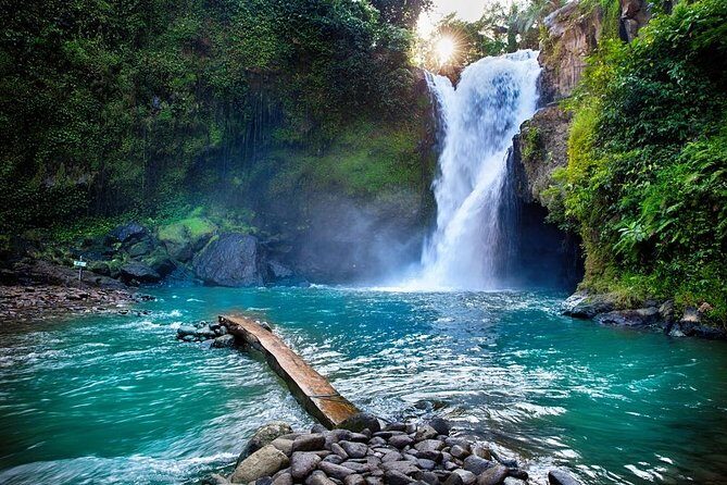 Fantastic Ubud Tour with Jungle Swing - What Makes This Tour Stand Out