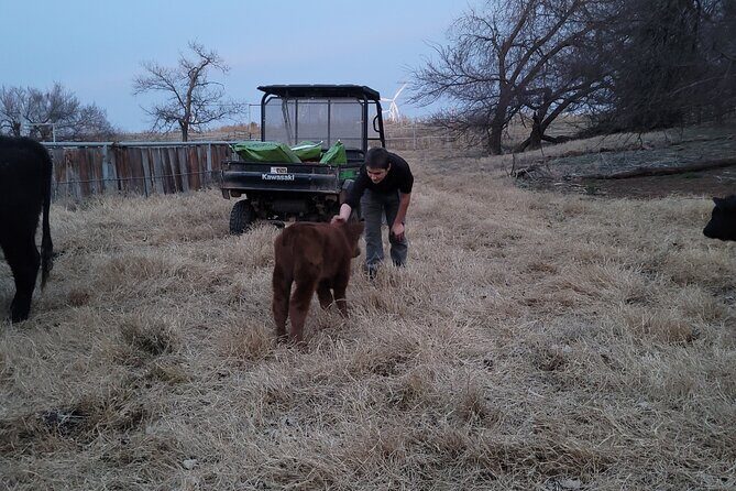 Farm Adventure Experience in Red Hill Ranch - Key Points