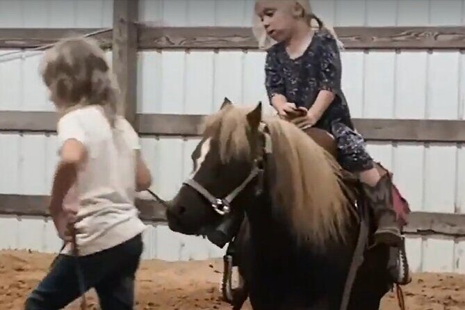 Farm Adventure Experience in Red Hill Ranch - An In-Depth Look at the Ranch Adventure Experience