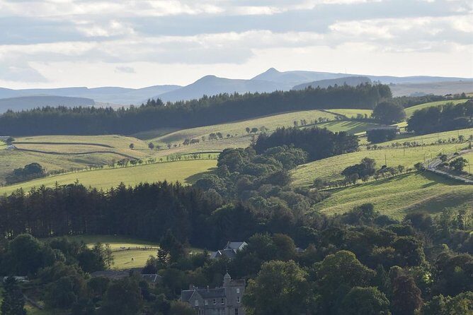Farm Attraction - Highland Cows, Animal Feeding, Wholesome fun! - Exploring the Farm: What to Expect from the Tour