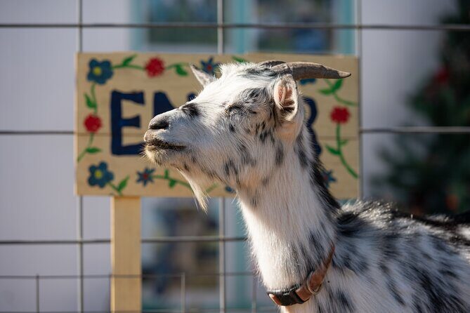 Farm Day Pass General Admission - Key Points