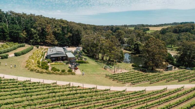 Farm Picnic for 2 adults - Final Thoughts: Who Should Consider This Experience?