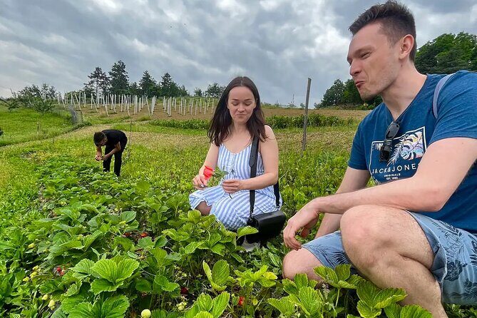 FARM STAY EXPERIENCE & DOZZA - Private Day Tour From Bologna - Key Points