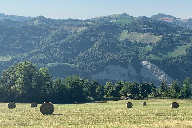 FARM STAY EXPERIENCE & DOZZA - Private Day Tour From Bologna - Who Would Enjoy This Tour?