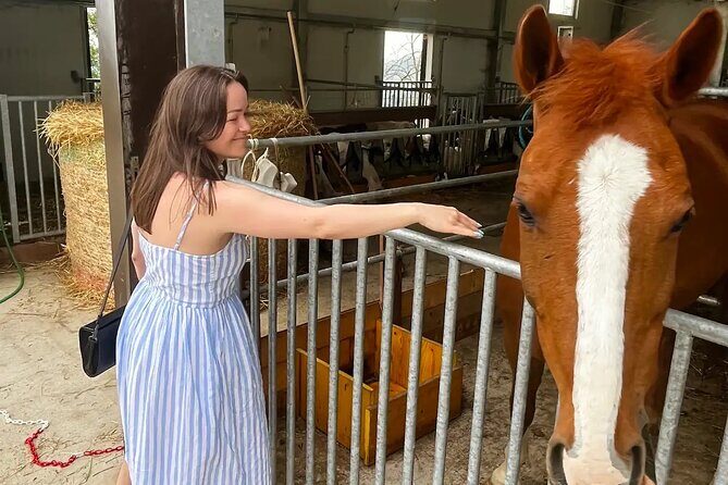 FARM STAY EXPERIENCE & DOZZA - Private Day Tour From Bologna - Final Thoughts