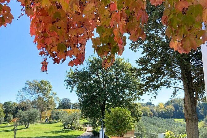 Farm To table Experience on an organic hilltop estate in Tuscany - FAQ