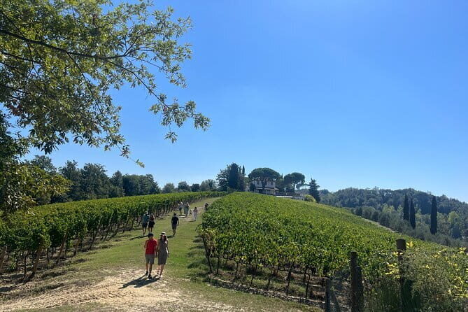 Farm To table Experience on an organic hilltop estate in Tuscany - Cooking Class and Farm-Fresh Lunch