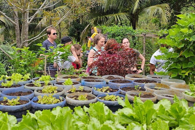 Farm to Table Thai Cooking Class with Farm and Market - FAQ
