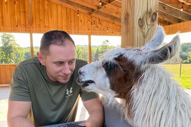 Farm Tour at Clover Brooke Llama/Alpaca/Goat Farm - The Sum Up