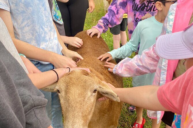 Farm Tour at Clover Brooke Llama/Alpaca/Goat Farm - Frequently Asked Questions