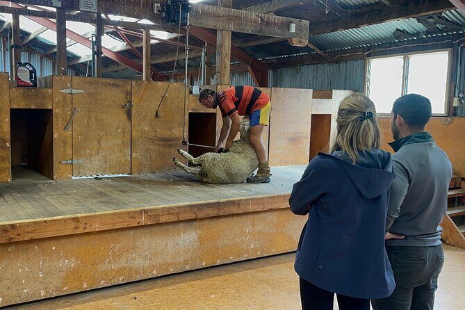 Farm & Wine Experience Fun Experience from Queenstown New Zealand - What Makes This Tour Stand Out?