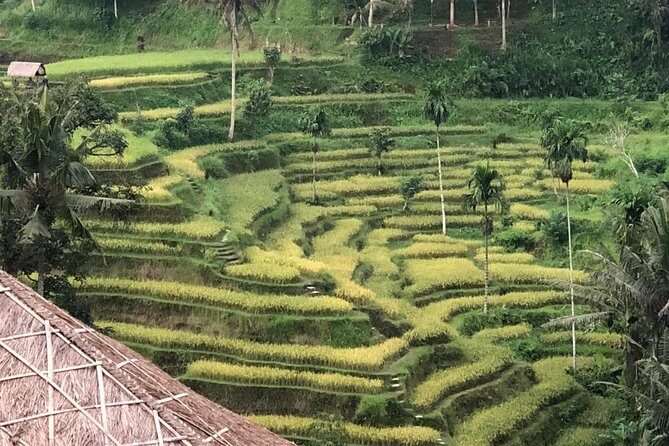Farmer market, waterfalls, holy spring - All Inclusive - Who Should Consider This Tour?