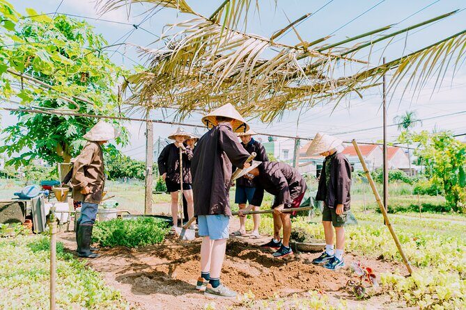 Farming & Cooking Class in Hoi An - Small Group Tour - The Sum Up