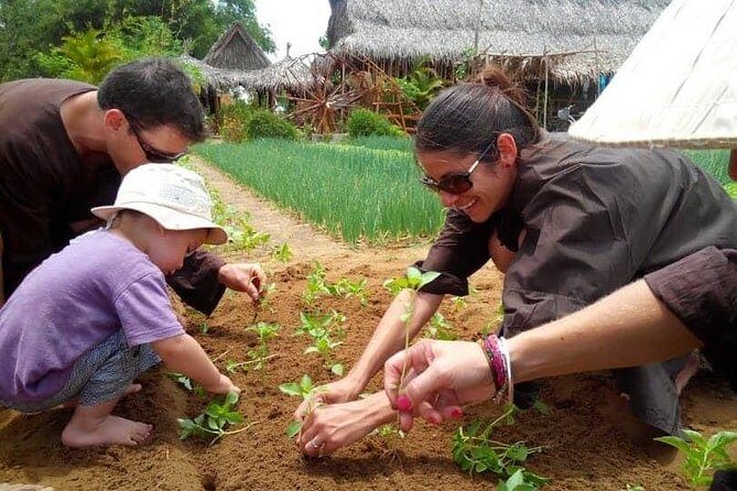 Farming with the Local Famers - Hands-On Farming: Digging, Planting, and Fertilizing