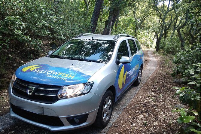 Faro airport - Albufeira: Private Return Transfer - The Return Journey