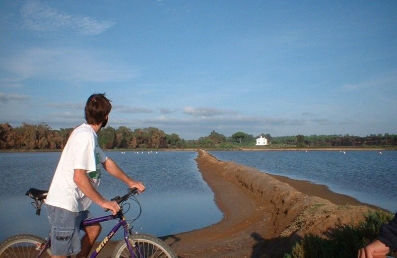 Faro Bike Tour through the Beautiful Ria Formosa - Exploring the Ria Formosa on Two Wheels