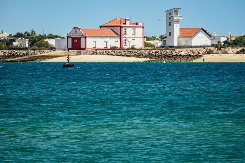 Faro: Deserta Island and Farol Island Catamaran Boat Trip - Who Will Love This Tour?