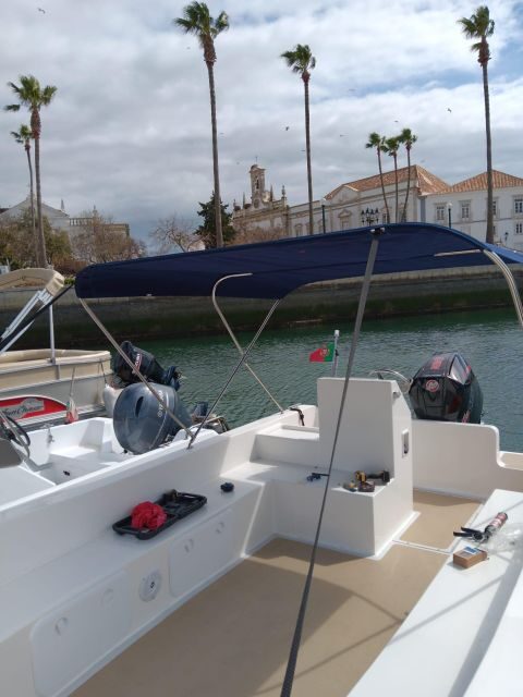 Faro: Dolphin and Marine Life Watching Boat Tour - Exploring the Faro Dolphin and Marine Life Watching Boat Tour