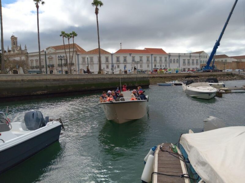 Faro: Dolphin and Marine Life Watching Boat Tour - Final Thoughts