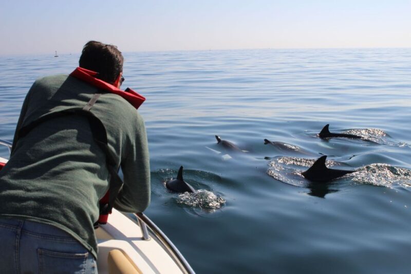 Faro: Dolphin and Marine Life Watching Boat Tour - FAQ