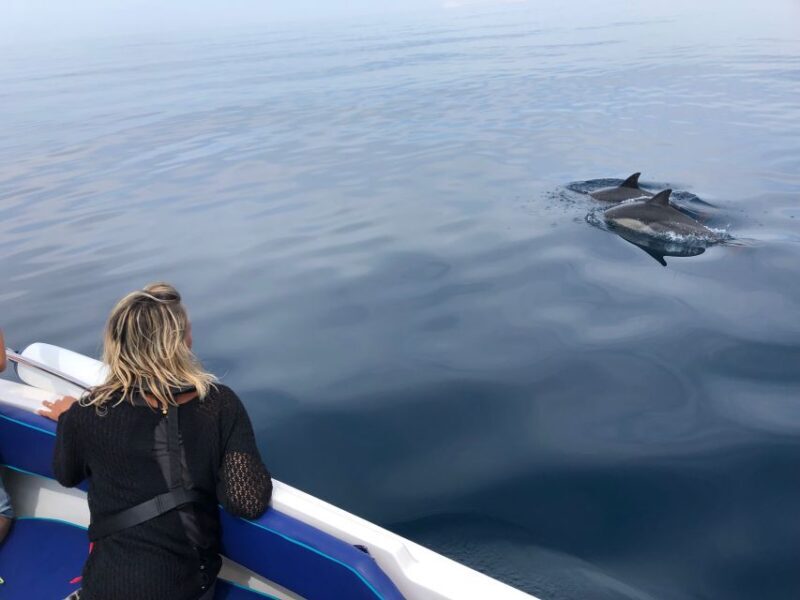 Faro: Dolphin and Wildlife Watching in the Atlantic Ocean - An In-Depth Look at the Experience