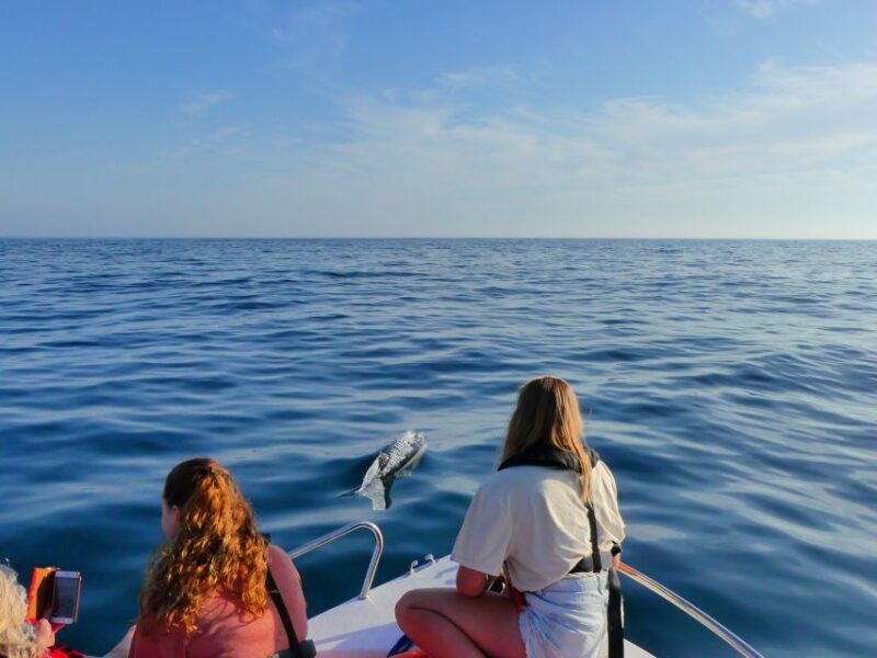 Faro: Dolphin and Wildlife Watching in the Atlantic Ocean - Frequently Asked Questions