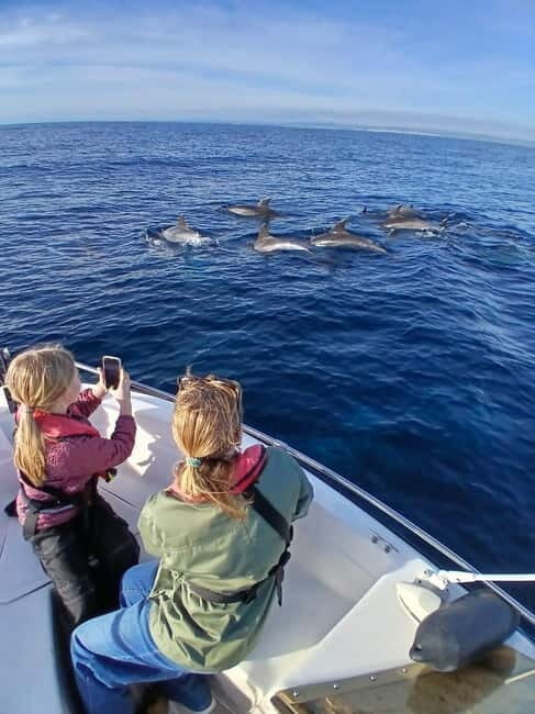 Faro: Funtastic Dolphin Watching Boat Tour - An In-Depth Look at the Faro Dolphin Watching Tour