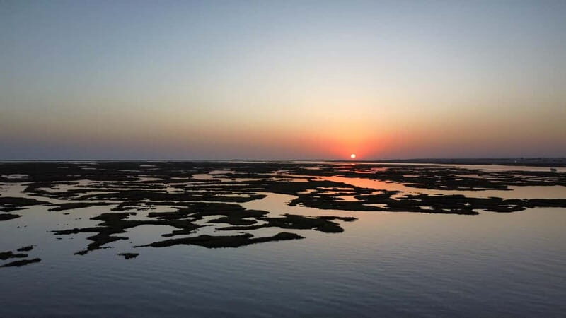Faro: Half Day Private Tour in Ria Formosa Natural Park - Authentic Experiences Based on Real Feedback