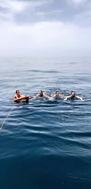 Faro: Half Day Private Tour in Ria Formosa Natural Park - Frequently Asked Questions