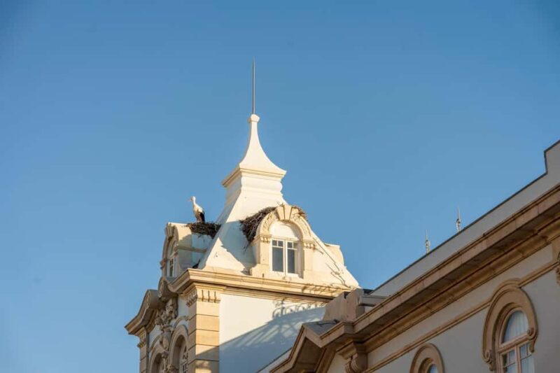 Faro: Private 2-Hour Old & New City Walk with Market Visit - FAQ