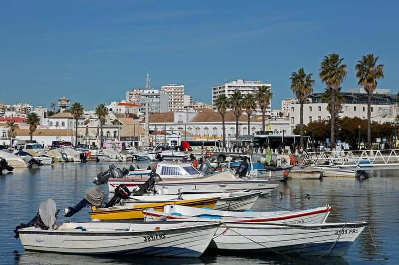 Faro: Private City 2 Hour Sightseeing Tour with Local - A Detailed Look at the Faro Private Tour
