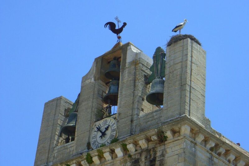 Faro Private Walking Tour - What to Expect from the Experience