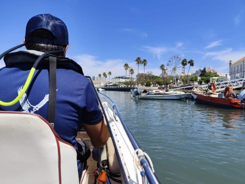 Faro: Pudim Real Boat Tours 6h guided boat tour Ria Formosa - Who Should Consider This Tour?